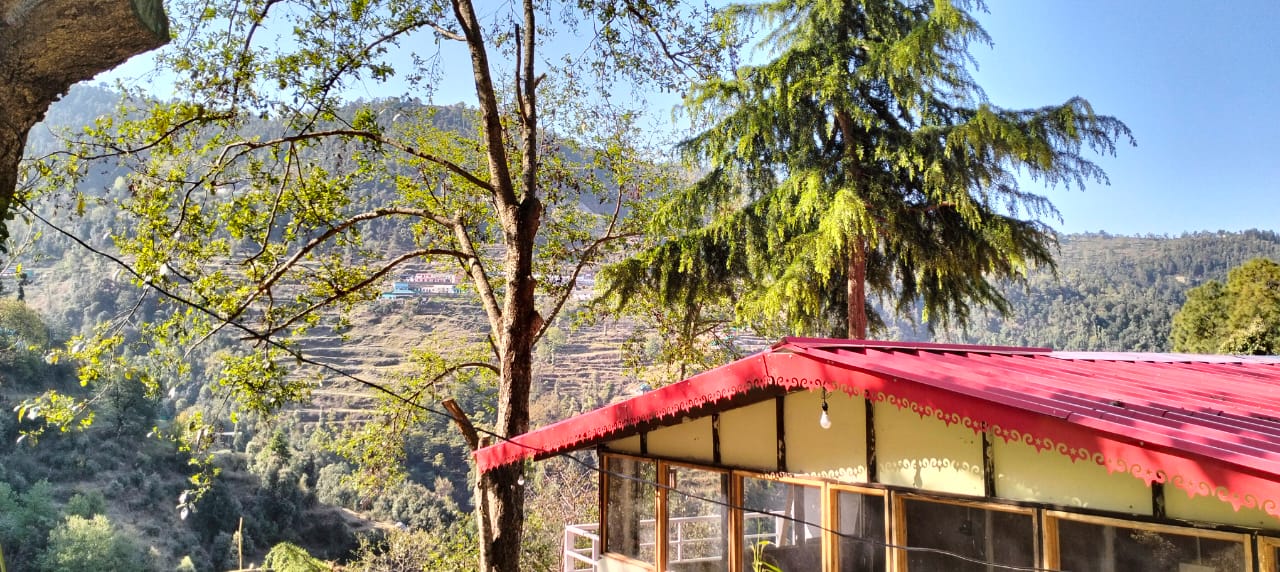 Peace Space Resort